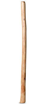 Natural Finish Didgeridoo (TW805)